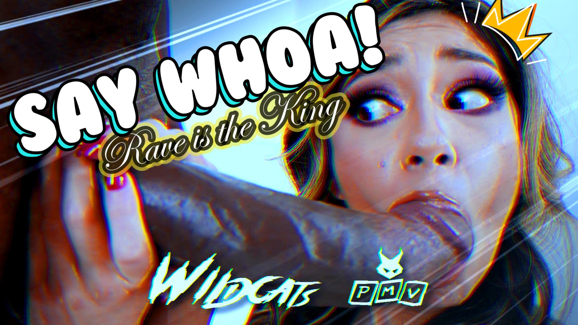 PMV - Say Whoa (Rave is the King)