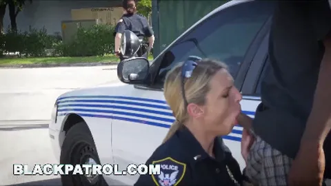 Rescue Rangers - FinalKiss Intro PMV