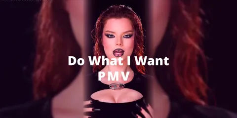 What I Want - Splitscreen PMV