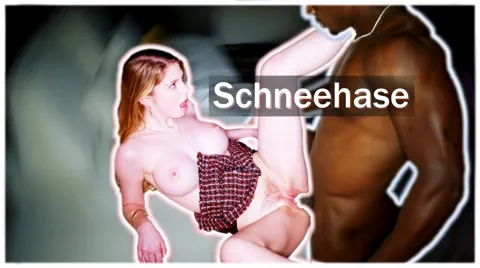 Schneehase - BiPanic PMV