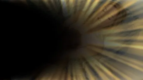 "Dreams - Abigail" by Jet Pisces Erotic