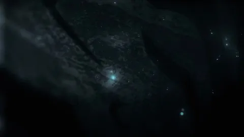 Studio Fow AMV - Feel so Alive