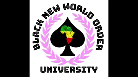Little Race Traitors-BNWO University