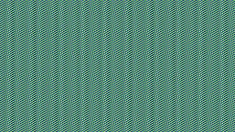 10 Dolla - AUTUMN FALLS PMV