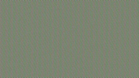 Fuck My Body - Sexy Bitches PMV