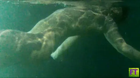 CH INTERMARIUM 1 Session-08