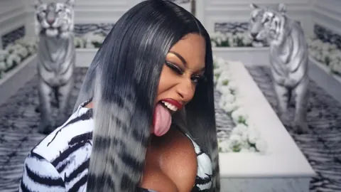 Cardi B & Megan Thee Stallion - Big Cock Babecock