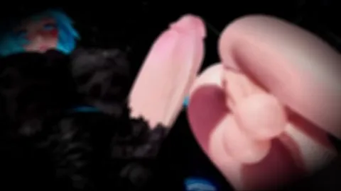 "Body" Akeno - Nyakumi Futa HMV