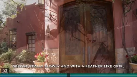 Cock hero Evolution (2015)