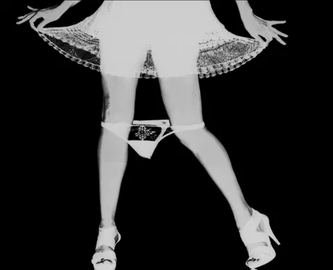 The United Brides Project - PMV