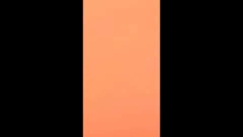 Rouge The Bat + Amy x VIEWER - FUTA WORSHIP 