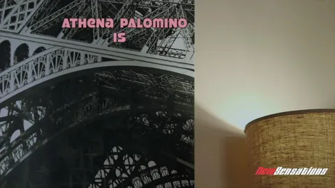 The Booby-Sitter + The Cheating Boss's Wife