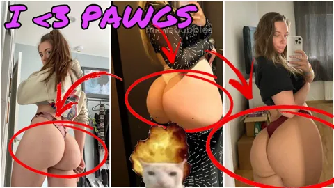 I <3 PAWGS (Cake By The Ocean - DNCE)