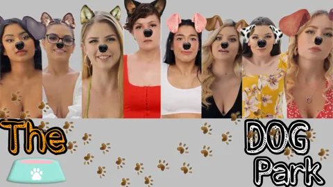 (PREVIEW) "The Dog Park" By PFP