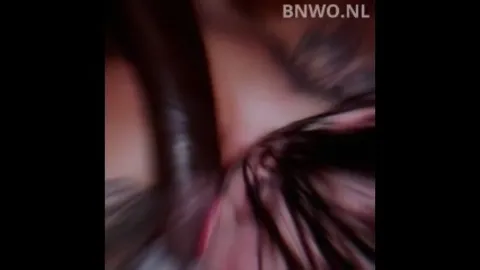 BNWO NL