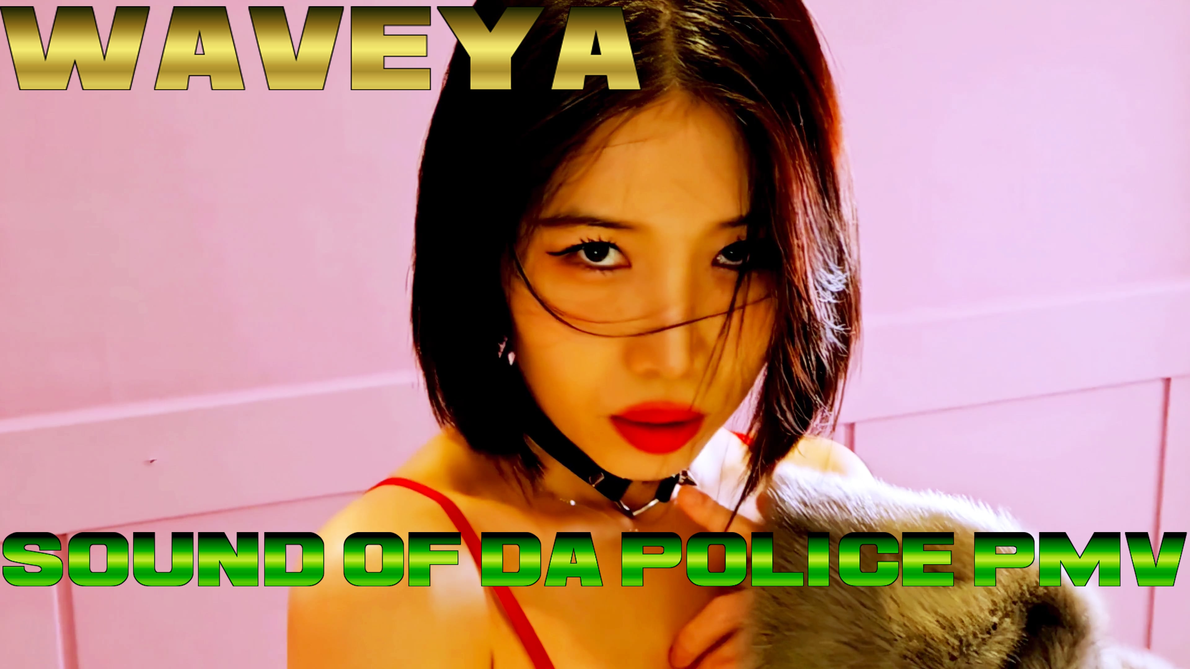 WAVEYA - Sound Of Da Police PMV