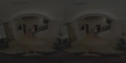 Do you wanna come over VR PMV