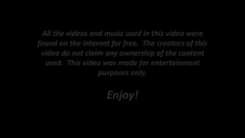 Daisy Taylor Tribute PMV