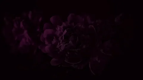 Foot Fetish Challenge 5 - Edge Game [TRAILER]