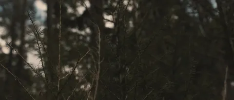 STACY CRUZ - DON'T BE SHY - PART 3