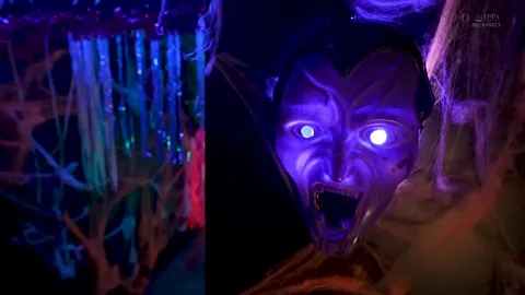 MOMONA KOIBUCHI - HALLOWEEN