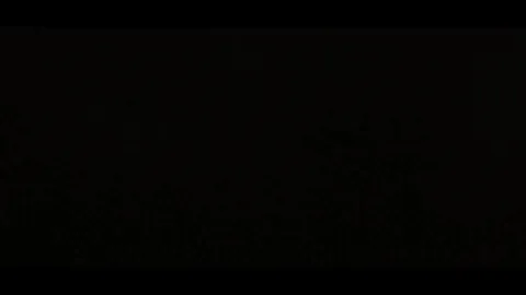 CHANEL CAMRYN - DIGGY DOWN