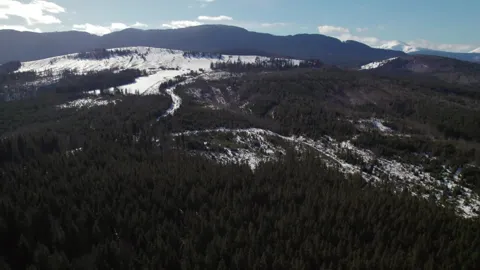 cozy winter cabin getaway with Estel Tatariv