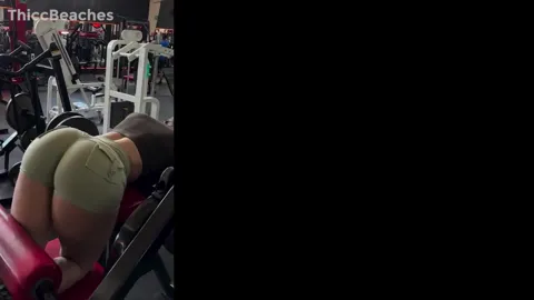 BBC and GYM booty compilation 