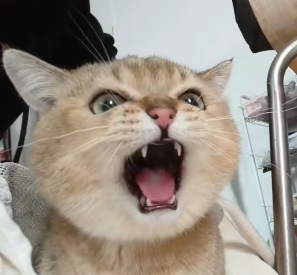 baibai