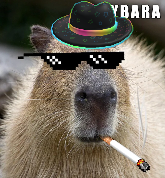 capybarajoe